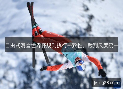 自由式滑雪世界杯规则执行一致性，裁判尺度统一